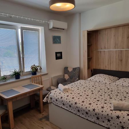 Апартаменты Garsoniera Dukla 289 Дечин Экстерьер фото